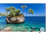 Luxury Appartement Brela - Brela Croatie