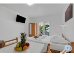 Pine Canopy Studios and Ferienwohnungen - Brela Kroatien