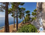 Pine Canopy Studios and Apartmny - Brela Chorvatsko