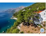 Pine Canopy Studios and Apartmny - Brela Chorvatsko