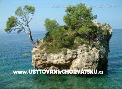 Studio apartment Marijana – Ferienwohnung Brela, Kroatien – Foto 7