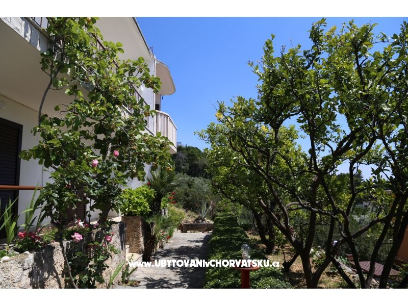 Appartements Mare – Ferienwohnung Brela, Kroatien – Foto 17