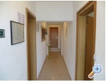 Studio Appartements Slavko - Brela Kroatien