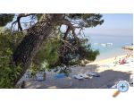 Dm Pokoje Pokoj Villa Sodan - Brela Chorvatsko