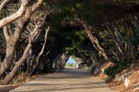msto Hvar Chorvatsko