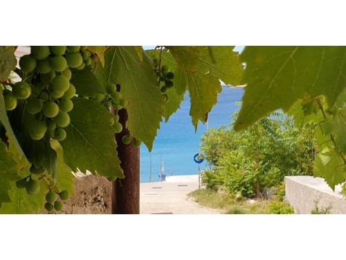 Smjetaj Julia - Cres Croatie
