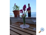 Smjetaj Julia - Cres Kroatien