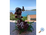 Smjetaj Julia - Cres Kroatien