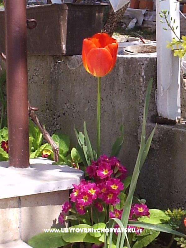 Ankica Appartements – Ferienwohnung Crikvenica, Kroatien – Foto 4