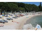 Appartements Evica - Crikvenica Kroatien