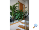 Apartmaji Katarina - Crikvenica Hrvaka