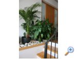 Apartmaji Katarina - Crikvenica Hrvaka
