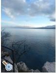Apartmanok Rosi - Crikvenica Horvtorszg