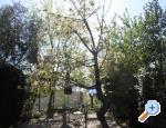 Appartements Rosi - Crikvenica Kroatien
