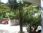 Appartements Rukavina Dominovi - Crikvenica Kroatien