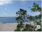 Appartements Vinja - Crikvenica Kroatien