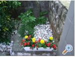 Appartements Vinja - Crikvenica Kroatien
