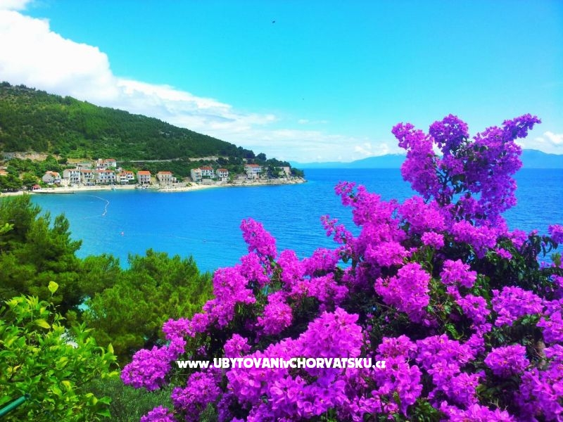 Aparmani Marin  – Ferienwohnung Drvenik, Kroatien – Foto 6