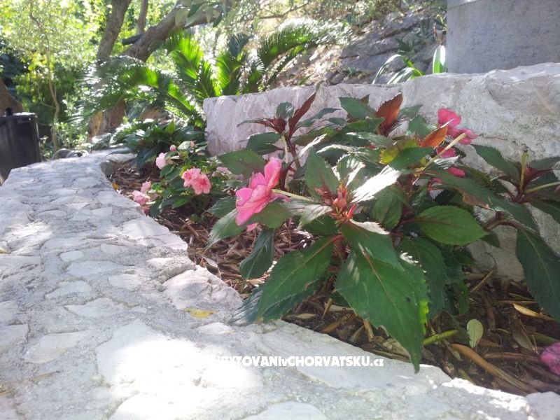 Aparmani Marin  – Ferienwohnung Drvenik, Kroatien – Foto 7