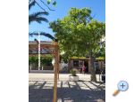 Appartements Plavi Jadran - Drvenik Kroatien