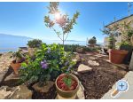 Appartements Puntin - Drvenik Croatie