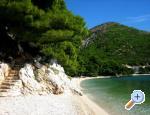 Appartements Puntin - Drvenik Croatie