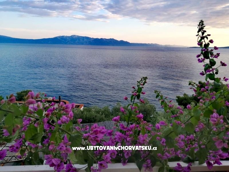 Vila Vesna – Ferienwohnung Drvenik, Kroatien – Foto 2