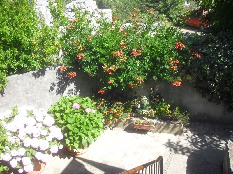 Apartment Jerkunica – Ferienwohnung Insel Drvenik Veli, Kroatien – Foto 11