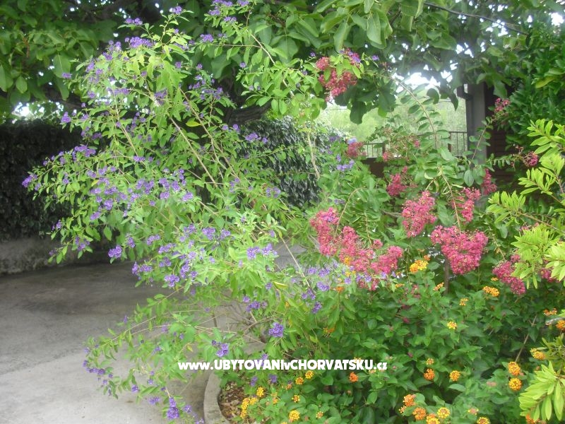 Apartment Jerkunica – Ferienwohnung Insel Drvenik Veli, Kroatien – Foto 12