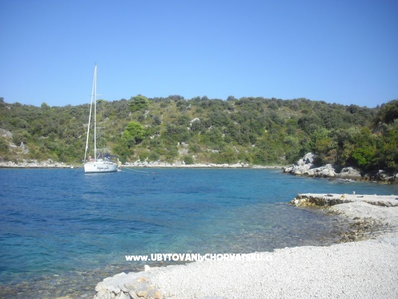 Apartment Jerkunica – Ferienwohnung Insel Drvenik Veli, Kroatien – Foto 17