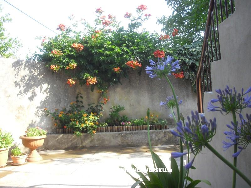 Apartment Jerkunica – Ferienwohnung Insel Drvenik Veli, Kroatien – Foto 8