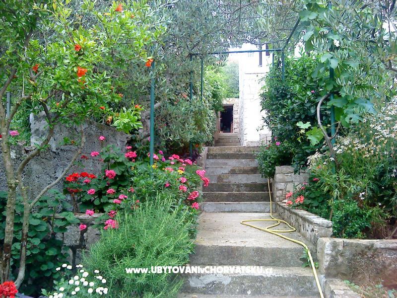 Apartment Žulji – Ferienwohnung Insel Drvenik Veli, Kroatien – Foto 5