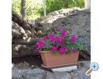 Appartements Antunovi - Dubrovnik Kroatien
