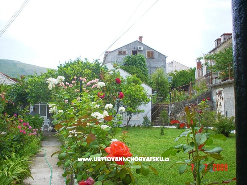 Appartements Ivan Š – Ferienwohnung Dubrovnik, Kroatien – Foto 1