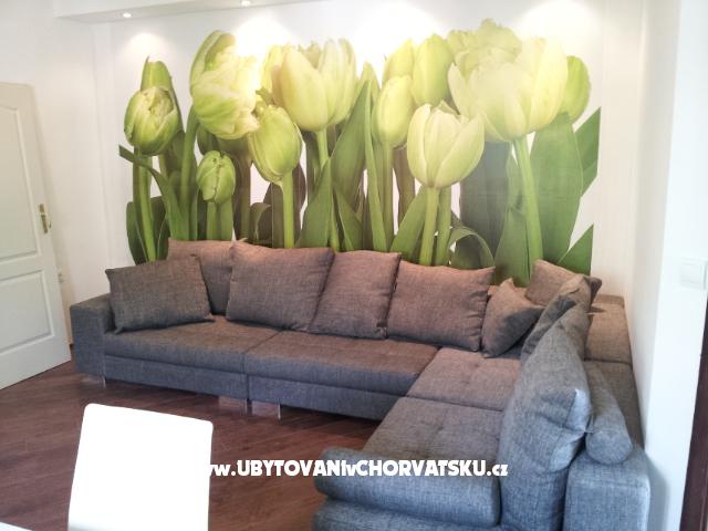 Apartmán Estera – ubytování Dubrovnik, Chorvatsko – foto 2