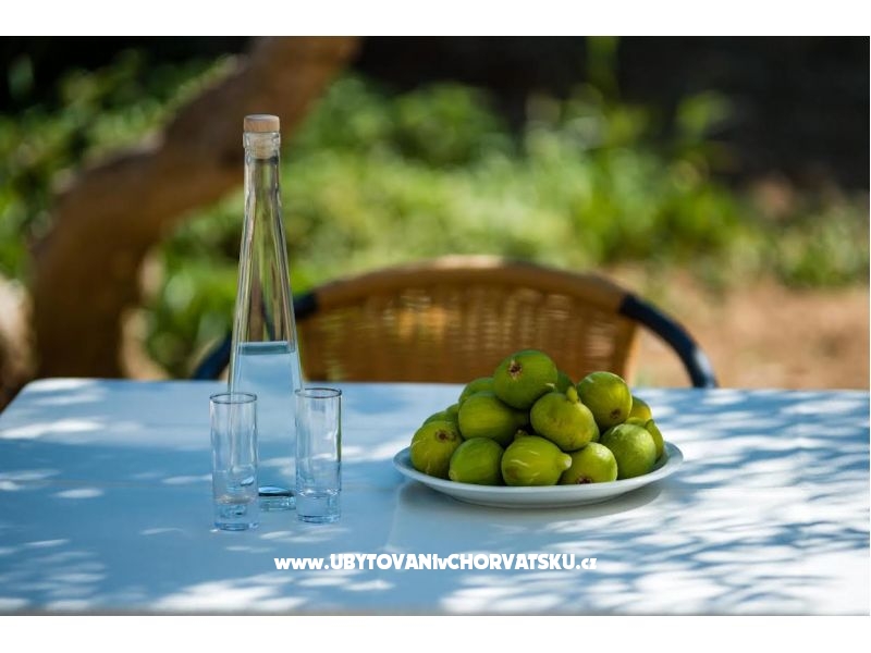 Appartement Franica – Ferienwohnung Dubrovnik, Kroatien – Foto 12