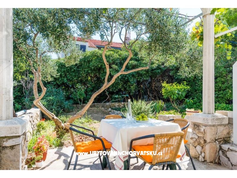 Appartement Franica – Ferienwohnung Dubrovnik, Kroatien – Foto 3