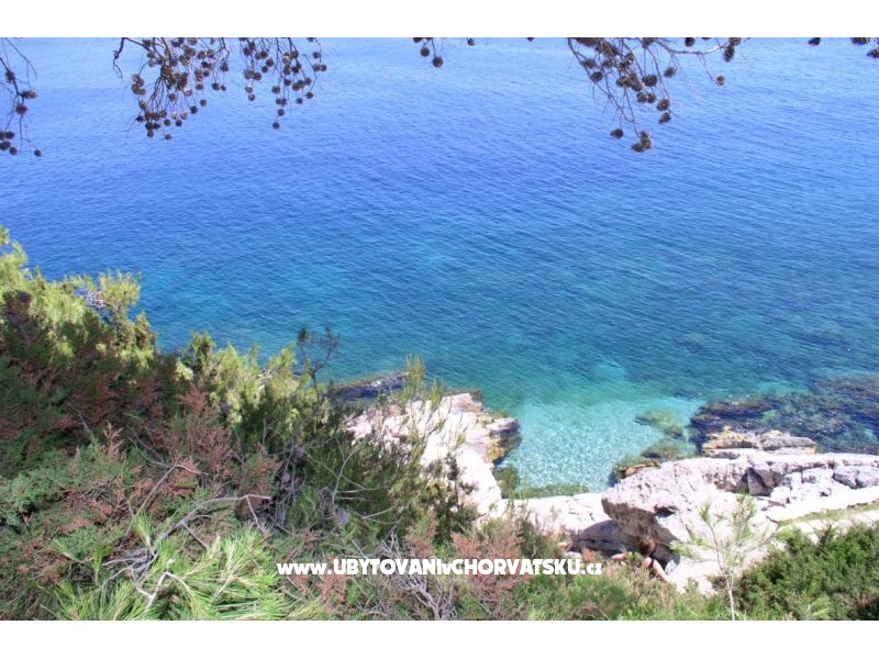 Appartement Franica – Ferienwohnung Dubrovnik, Kroatien – Foto 9