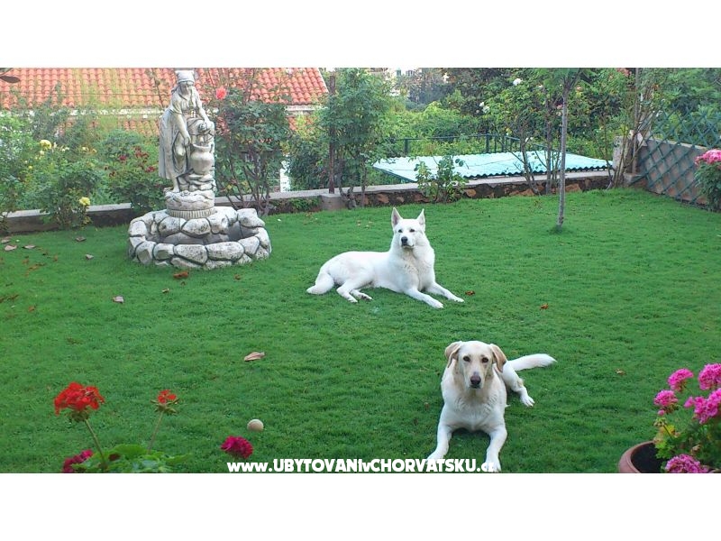 Appartement Melisa**** Dubrovnik – Ferienwohnung Dubrovnik, Kroatien – Foto 17