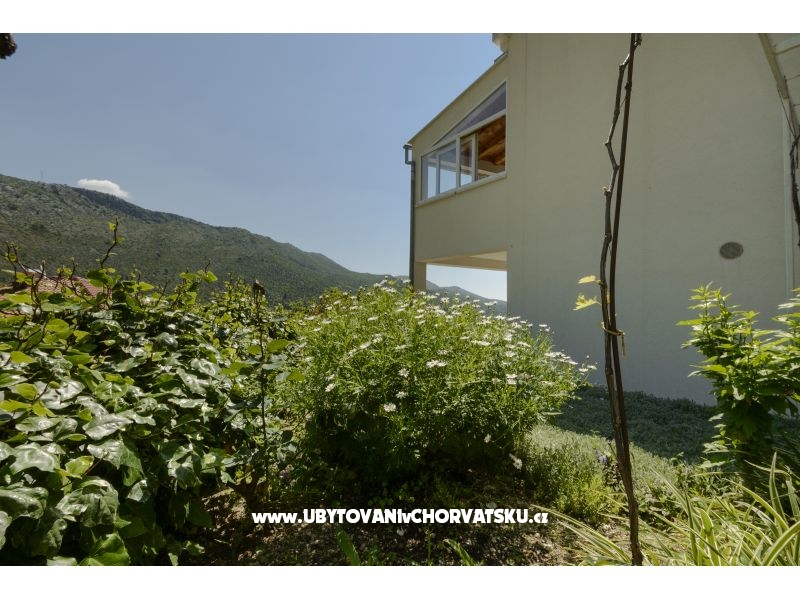 Apartmán Markovic – ubytování Dubrovnik, Chorvatsko – foto 9