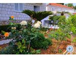 Apartmaji LOVE DUBROVNIK - Dubrovnik Hrvaka