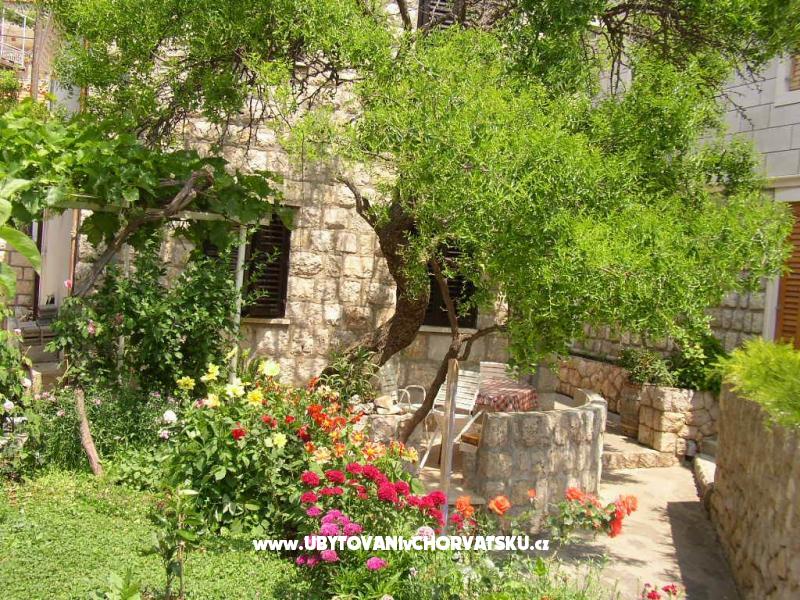 Ferienwohnungen  Boris -Štikovica – Ferienwohnung Dubrovnik, Kroatien – Foto 3