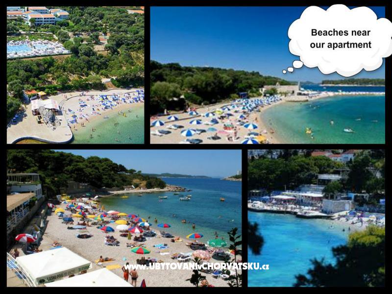 Appartements Tomaš Dubrovnik – Ferienwohnung Dubrovnik, Kroatien – Foto 12