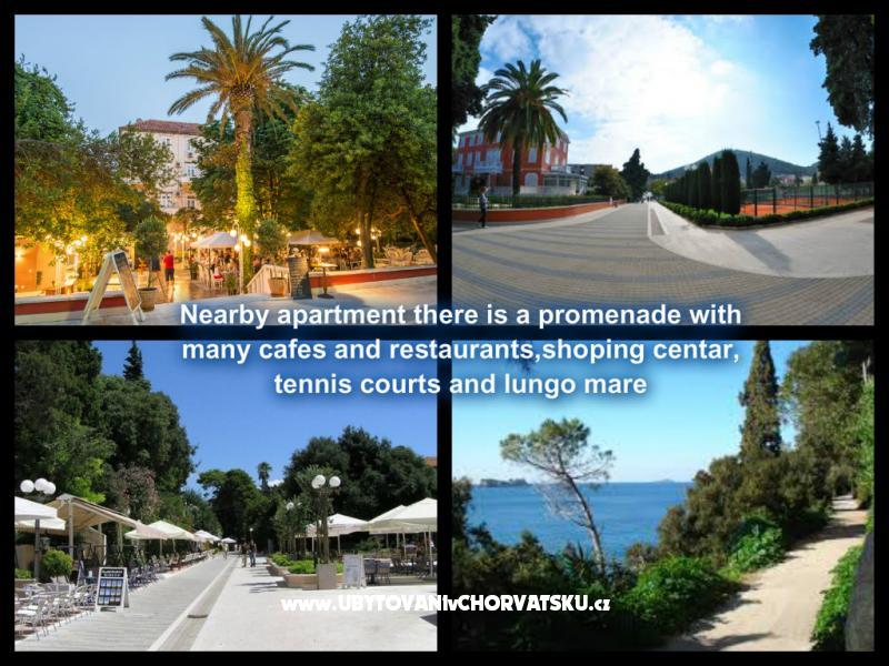 Appartements Tomaš Dubrovnik – Ferienwohnung Dubrovnik, Kroatien – Foto 14