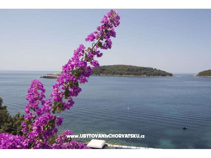 Ferienwohnungen Rašica – Ferienwohnung Dubrovnik, Kroatien – Foto 5