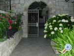 Appartements Vidak - Dubrovnik Croatie