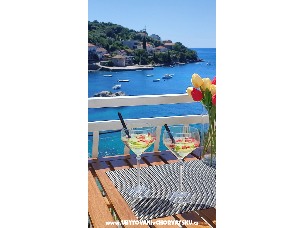 Villa Ana Apartments - Dubrovnik Croatia