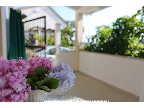 Appartements Villa Riva Molunat - Dubrovnik Croatie