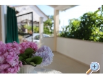Apartmaji Villa Riva Molunat - Dubrovnik Hrvaka