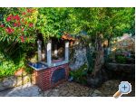 Apartmaji Villa Riva Molunat - Dubrovnik Hrvaka